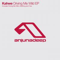 Artwork for Driving Me Wild EP by Kahwe