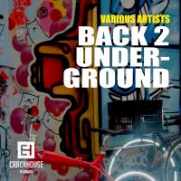 Artwork for Back 2 Underground by Various Artists