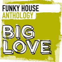 Artwork for Big Love Funky House Anthology by Various Artists