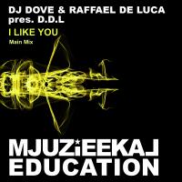 Artwork for I Like You by DJ Dove