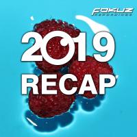 Artwork for Fokuz Recap 2019 by Various Artist