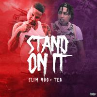 Artwork for Stand On It by Slim 400