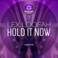 Artwork for Hold It Now by Lex Loofah