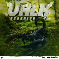 Artwork for Scorpion EP by Valk