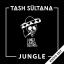 Artwork for Jungle (Radio Edit)