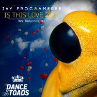 Artwork for Is This Love 2017 by Jay Frog