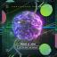 Artwork for Let Me See The Energy (Extended Mix)