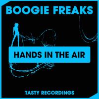 Artwork for Hands In The Air by Boogie Freaks