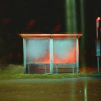 Artwork for The Last Man on Earth by Wolf Alice