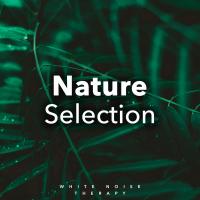 Artwork for Nature Selection by White Noise Therapy