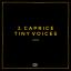Artwork for Tiny Voices (Original Mix)