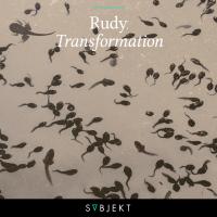 Artwork for Transformation by Rudy