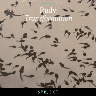 Artwork for Transformation (Martin Roth Extended Remix)