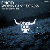 Artwork for Words Can't Express by Emod