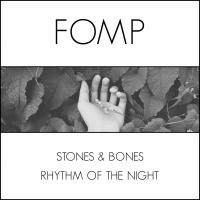 Artwork for Rhythm of The Night by Stones & Bones