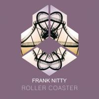 Artwork for Roller Coaster by Frank Nitty
