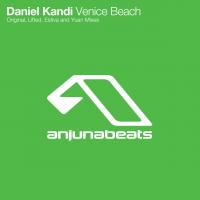 Artwork for Venice Beach by Daniel Kandi