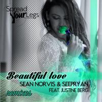 Artwork for Beautiful Love Remixes by Sean Norvis