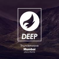 Artwork for Mumbai (pSyLa Remix) by Thunderwave