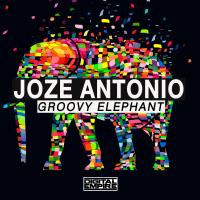 Artwork for Groovy Elephant by Joze Antonio