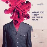 Artwork for Natural High by Analog Trip