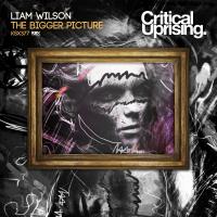 Artwork for The Bigger Picture by Liam Wilson