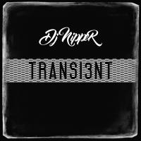 Artwork for Transi3nt by DJ Nipper