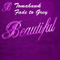 Artwork for Fade To Grey by Tomahawk