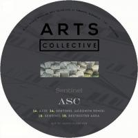Artwork for Sentinel by Axis