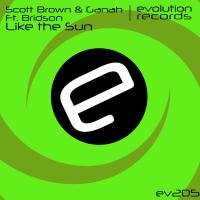 Artwork for Like The Sun by Scott Brown