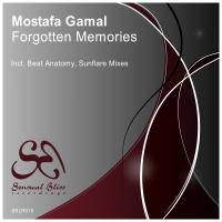 Artwork for Forgotten Memories by Mostafa Gamal