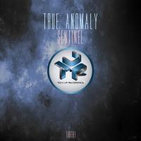 Artwork for Sentinel EP by True Anomaly