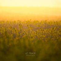 Artwork for At Peace by Mindscape