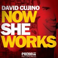 Artwork for Now She Works by David Cujino