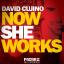 Artwork for Now She Works