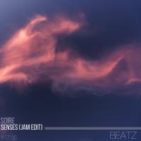 Artwork for Senses (Jam Edit) by Soire
