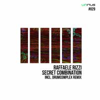 Artwork for Secret Combination by Raffaele Rizzi