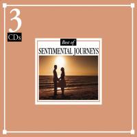 Artwork for The Best of Sentimental Journeys by 101 Strings Orchestra