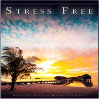 Artwork for Stress Free: Mindfulness Relaxation With Postive Energy by Calm Music