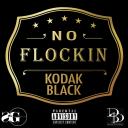 Artwork for No Flockin'