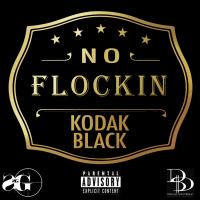 Artwork for No Flockin' by Kodak Black