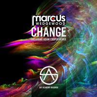 Artwork for Change by Marcus Wedgewood