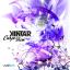 Artwork for Shanti (Original Mix)