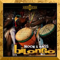 Artwork for Bilongo by Hook & Bass