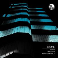 Artwork for View From The Edge by Biome