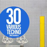 Artwork for 30 Various Techno Multibundle by Various Artists