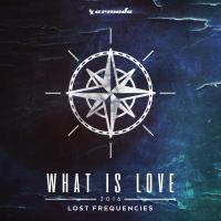 Artwork for What Is Love 2016 by Lost Frequencies