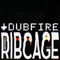 Artwork for RibCage (Remixes) by Dubfire