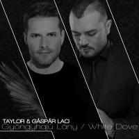 Artwork for White Dove / Gyöngyhajú Lány Remixes by Taylor