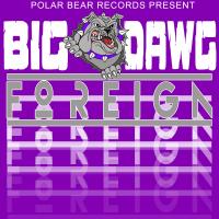 Artwork for Foreign by Big Dawg